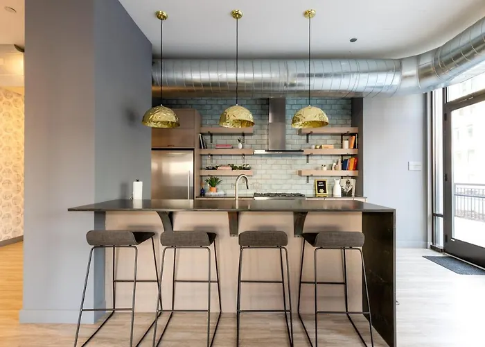 Loop 1br W Lounge Gym Roof Nr L Chi-693 *