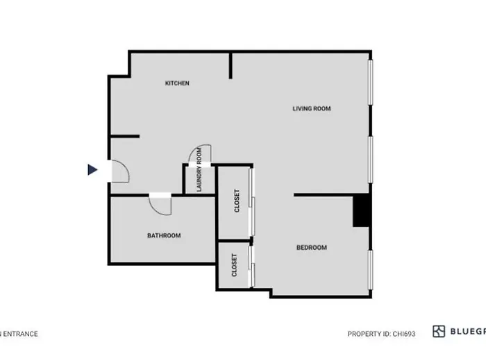 Loop 1br W Lounge Gym Roof Nr L Chi-693 *
